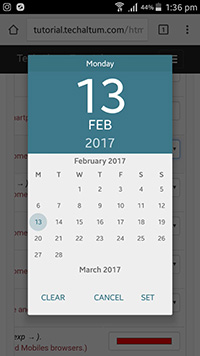 input type date android