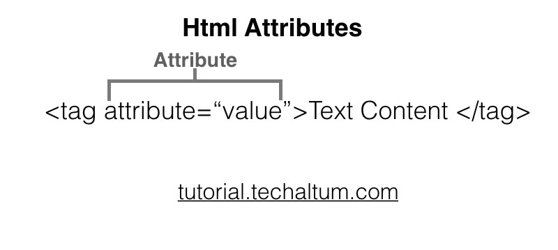 html attributes