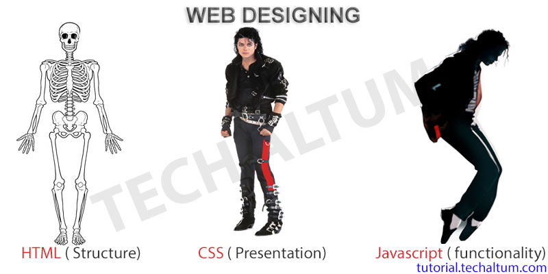 HTML vs CSS vs JavaScript