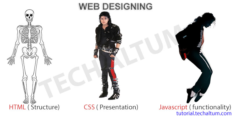 HTML CSS JavaScript